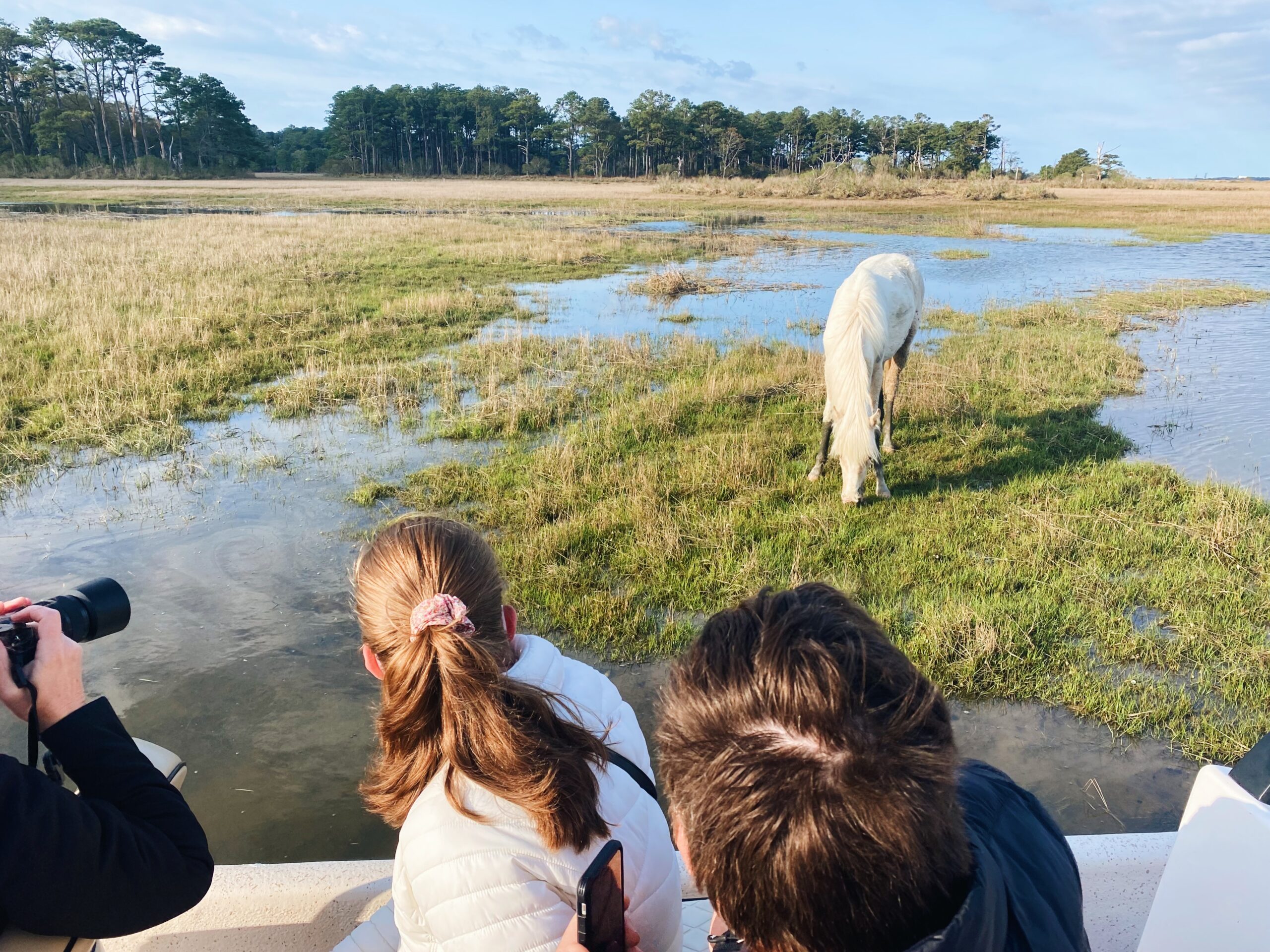 chincoteague pony swim boat tour