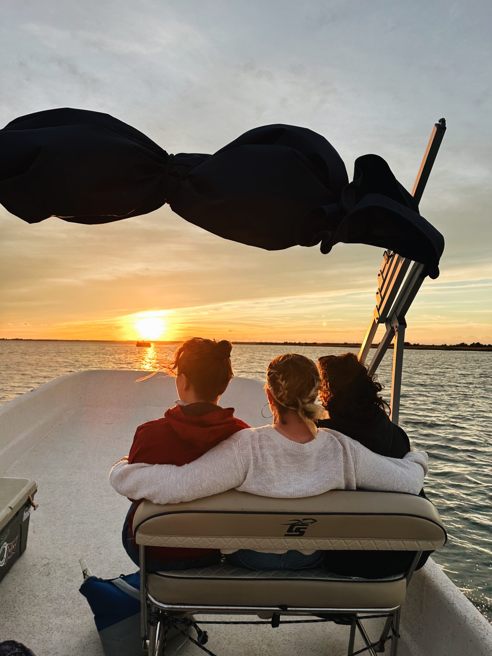 chincoteague pony swim boat tour